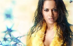 Sameera Reddy